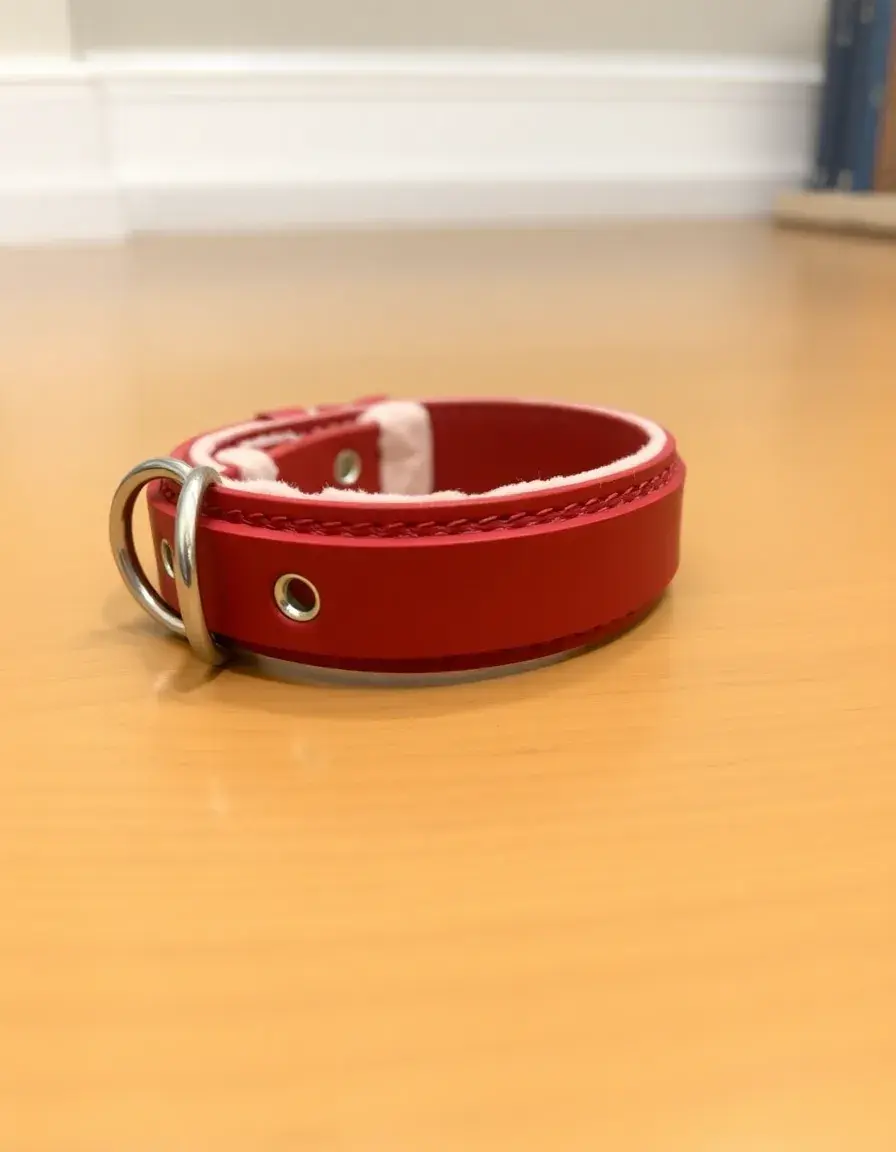Padded red leather dog collar with soft lining